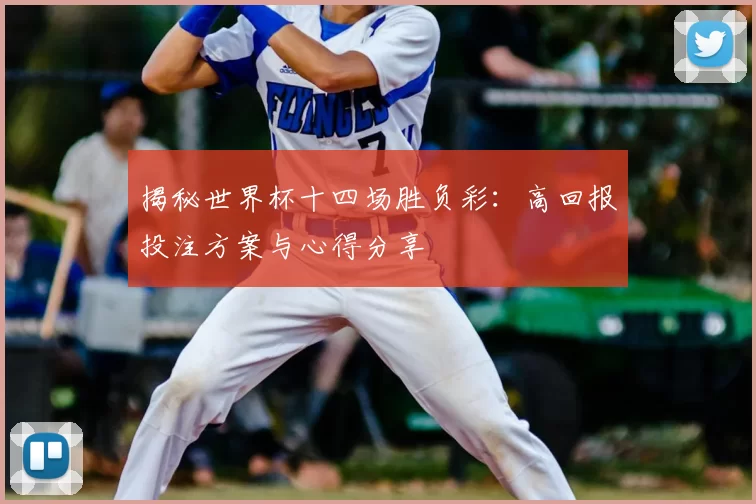 揭秘世界杯十四场胜负彩：高回报投注方案与心得分享