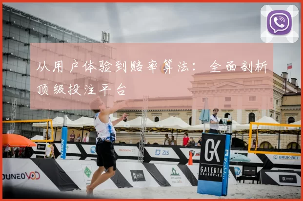 从用户体验到赔率算法:全面剖析顶级投注平台