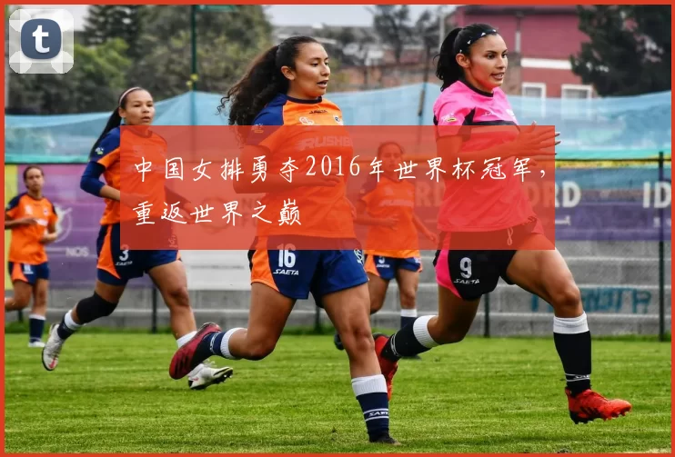中国女排勇夺2016年世界杯冠军,重返世界之巅