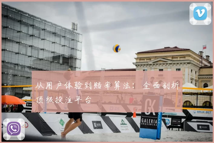 从用户体验到赔率算法:全面剖析顶级投注平台