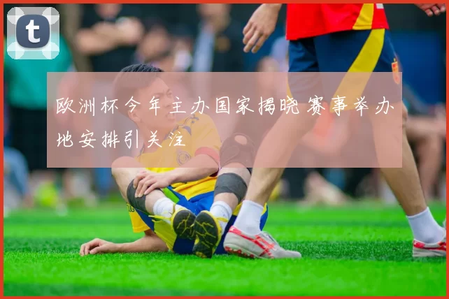 欧洲杯今年主办国家揭晓 赛事举办地安排引关注