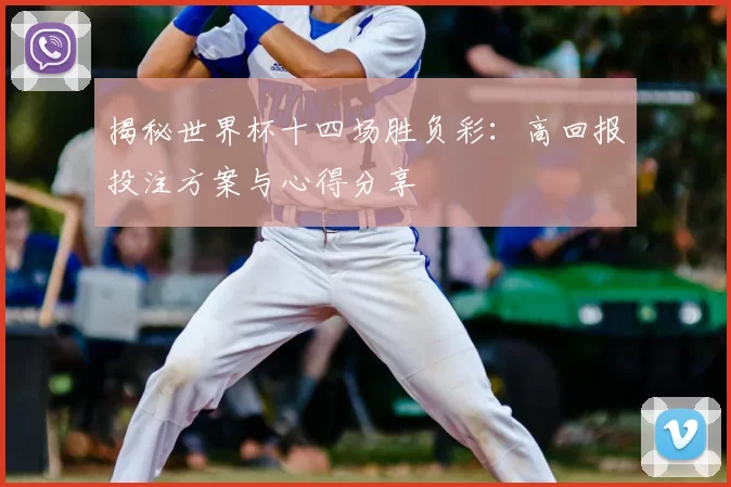 揭秘世界杯十四场胜负彩:高回报投注方案与心得分享